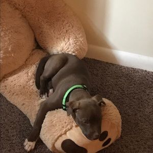 Meet your Posher, Aliyah